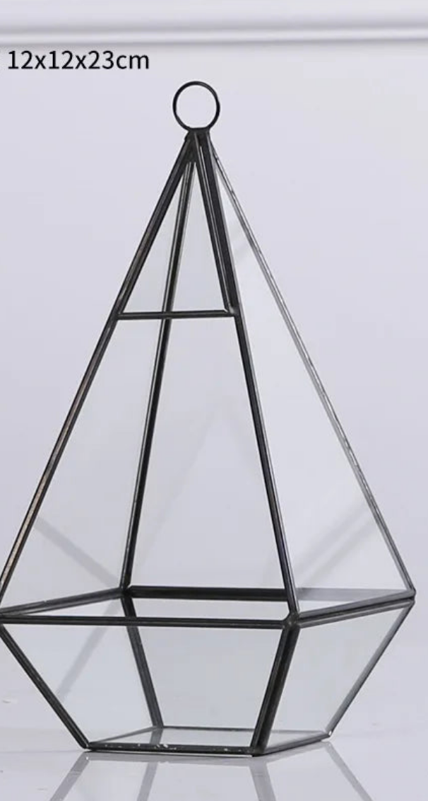 Plants Glass Geometric Terrarium